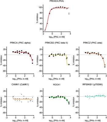 The Kinase Specificity of Protein Kinase Inhibitor Peptide